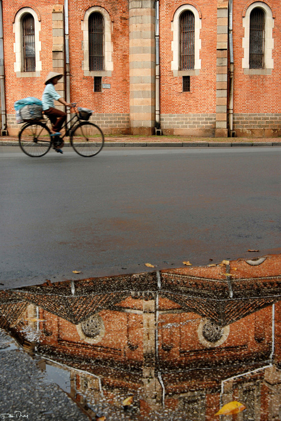 Tam Thái - Người chụp ảnh dạo thành danh ảnh 3