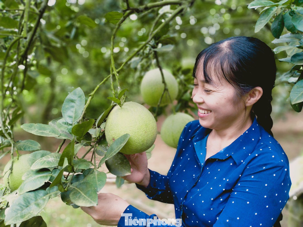 Chị Lưu Nguyệt Anh, người sáng lập HTX Bưởi Múc