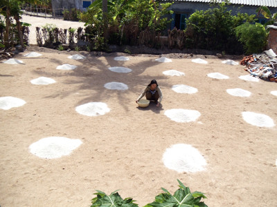 Phụ nữ bắt đầu vụ trồng hành tỏi. Ảnh: T.Trung. Phụ nữ bắt đầu vụ trồng hành tỏi ảnh: T.Trung