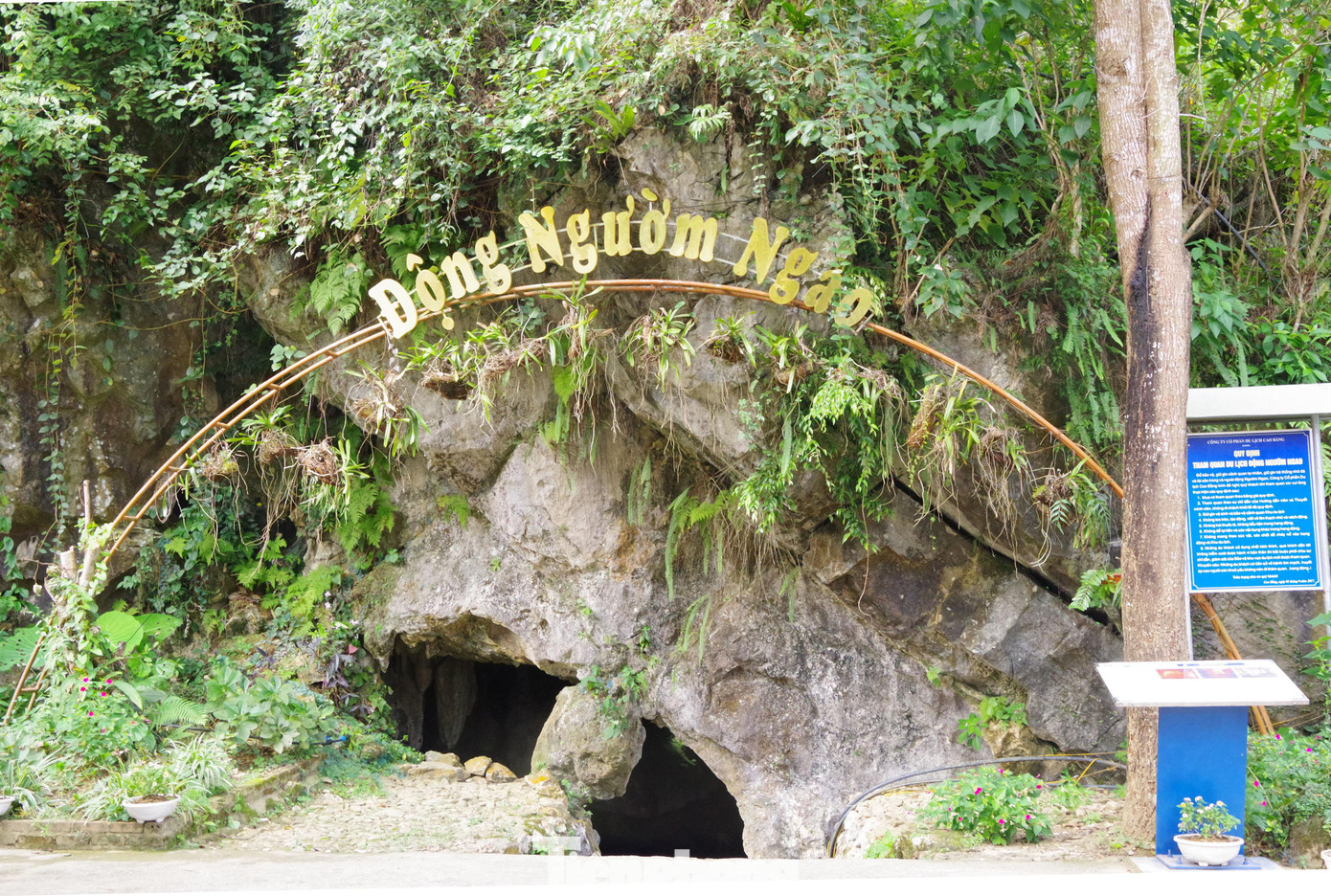 Động Ngườm Ngao trong tiếng Tày có nghĩa là Động Hổ (Ngườm: động, Ngao: hổ). Tương truyền, ngày xưa trong động có nhiều hổ dữ gầm rú ngày đêm, nên người Tày nơi đây đặt tên động là Ngườm Ngao.