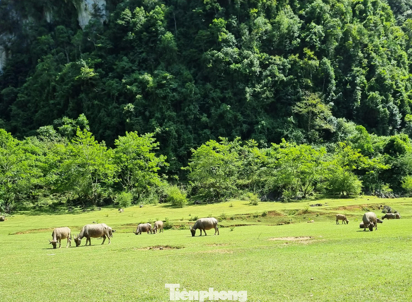 Ông Thàng Văn An - Chủ tịch UBND xã Cao Chương cho biết, sau khi UNESCO công nhận Mắt Thần Núi nằm trong quần thể Công viên địa chất toàn cầu “Non nước Cao Bằng”, xã đã thành lập Ban Quản lý danh lam thắng cảnh cấp cấp quốc gia để quản lý, bảo tồn nguyên trạng danh lam thắng cảnh núi Mắt Thần, tránh việc người dân xây dựng những công trình trái phép, ảnh hưởng đến danh thắng.