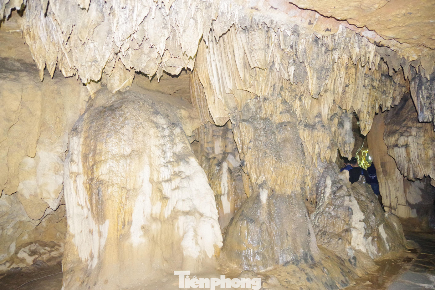 Động Ngườm Ngao cùng với Thác Bản Giốc kết hợp với nhau tạo thành một vùng thắng cảnh đặc sắc của tỉnh Cao Bằng.