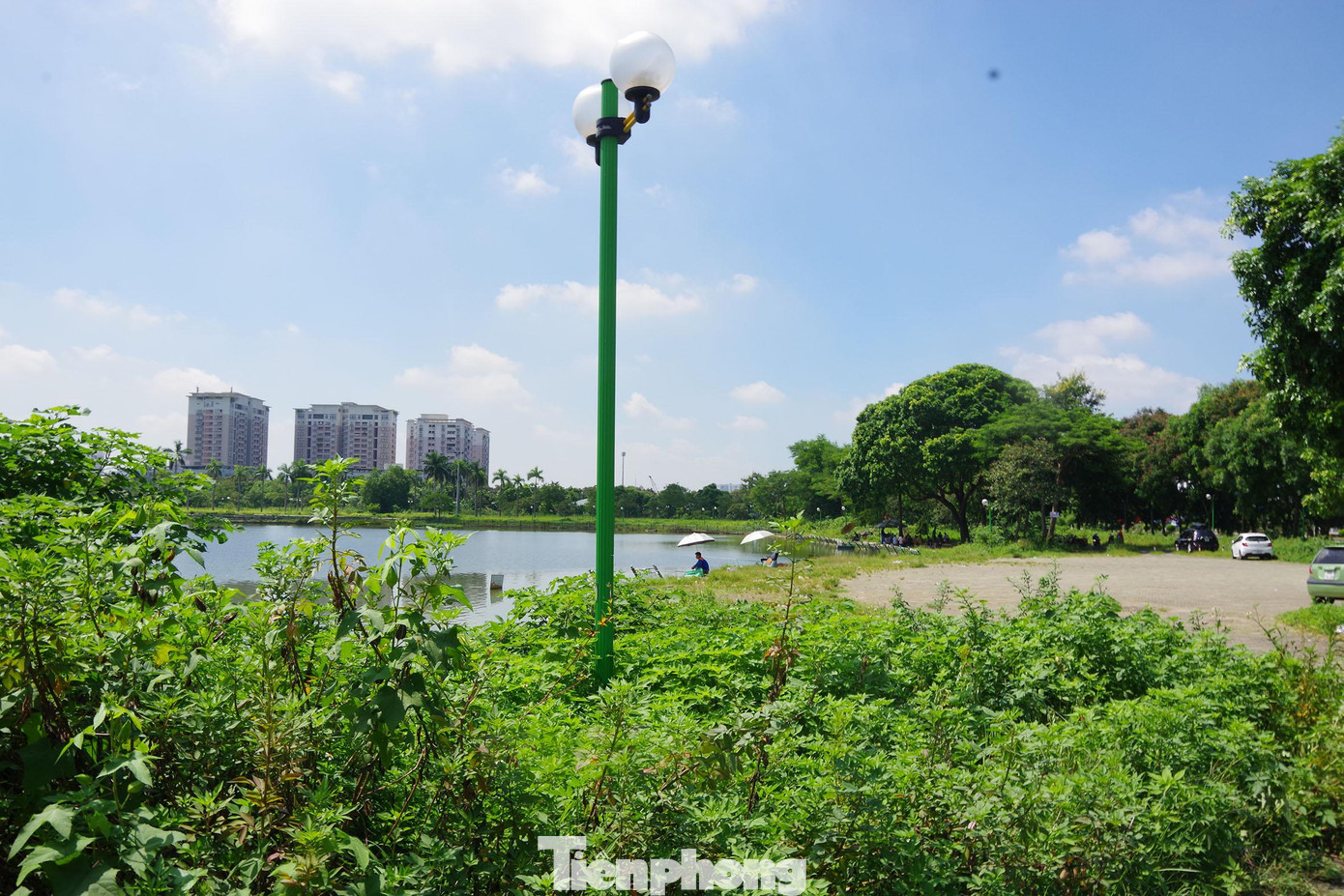 Công viên xuống cấp nghiêm trọng, cỏ, cây dại mọc um tùm, quá đầu người.