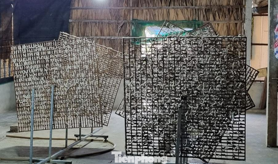 “Nuôi lợn ăn cơm nằm, nuôi tằm ăn cơm đứng. Câu nói này giờ chỉ đúng một phần. Thực ra nuôi tằm không mệt nhọc lắm. Vợ chồng tôi gần 70 tuổi nhưng vẫn làm tốt việc này. Sáu sào dâu cho thu nhập trung bình mỗi năm trên dưới 70 triệu đồng. Các con đi làm xa nhưng hai thân già này vẫn duy trì công việc rất tốt”, bà Liên chia sẻ.