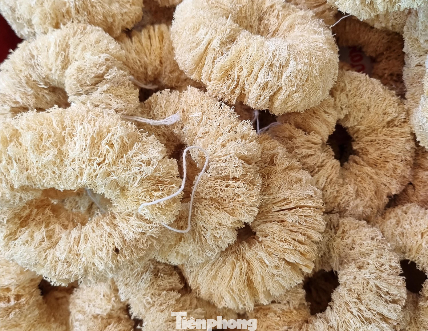 Theo anh Tôn, ở nước ta hiện nay cũng đã có nhiều tổ chức, cá nhân xây dựng mô hình sản xuất các sản phẩm từ xơ mướp nhưng quy mô còn nhỏ lẻ. Anh luôn hướng tới xây dựng một quy trình hoàn chỉnh từ việc xây dựng vùng nguyên liệu, sơ chế đến tìm đầu ra cho sản phẩm.