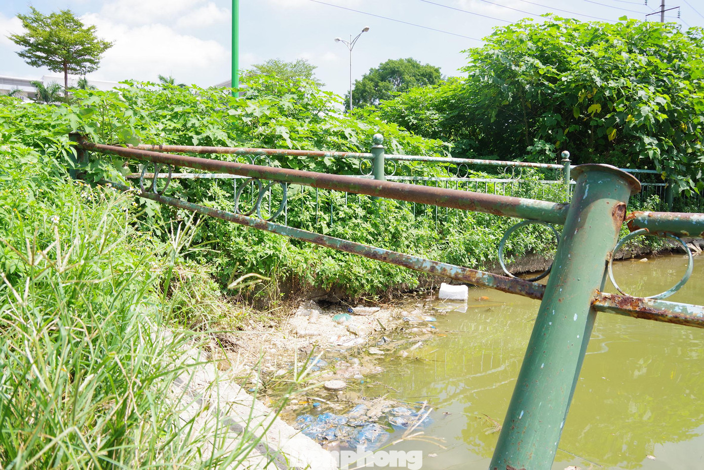 Nhiều khu vực trở nên hoang phế