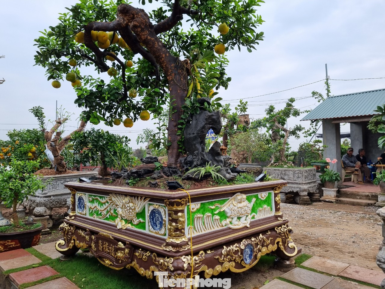 "Nếu không bán được thì tôi để chơi. Tác phẩm được chăm chút kì công, bán rẻ tiếc công sức của mình đã bỏ ra", anh Tập nói thêm.