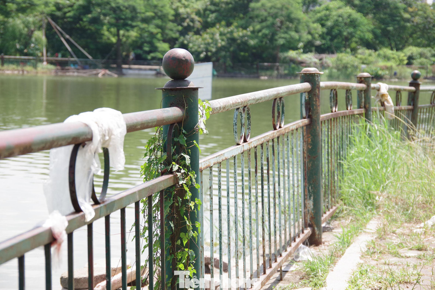 Rác thải khắp nơi