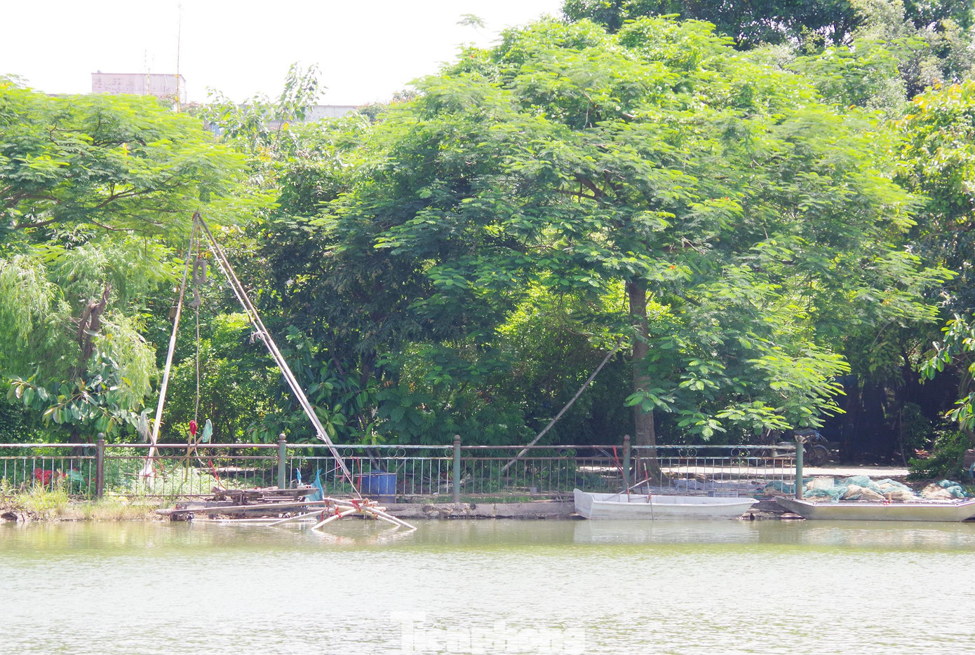 Vì bỏ hoang không ai quản lý, nên người dân vào đây dựng nhà tạm, sắm thuyền, vó đánh cá...