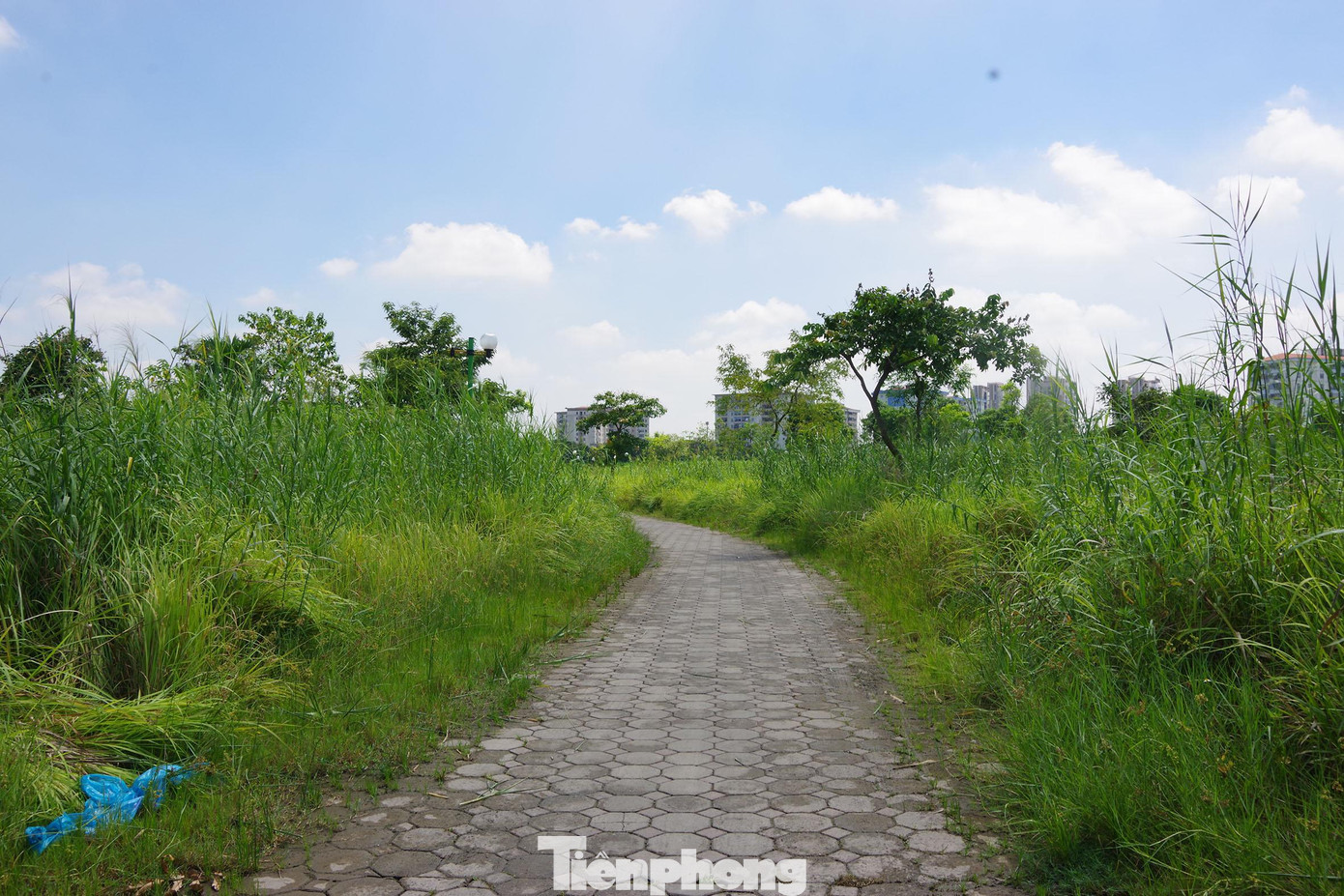 Bác Quang, sinh sống tại khu đô thị Việt Hưng, quận Long Biên cho biết: "Tôi đã về đây sống chục năm rồi. Ban đầu cứ tưởng công viên là nơi vui chơi hữu ích của cư dân, là "lá phổi" của quận nói chung, và khu đô thị Việt Hưng nói riêng. Nhưng giờ cư dân không ai dám ra đây chơi, vì cỏ um tùm, đường sá hỏng..."