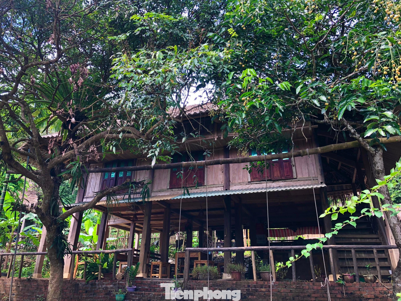 Nhà ở của các gia đình đều là nhà sàn Mường truyền thống, có view nhìn ra hồ thoáng đãng, mát mẻ.