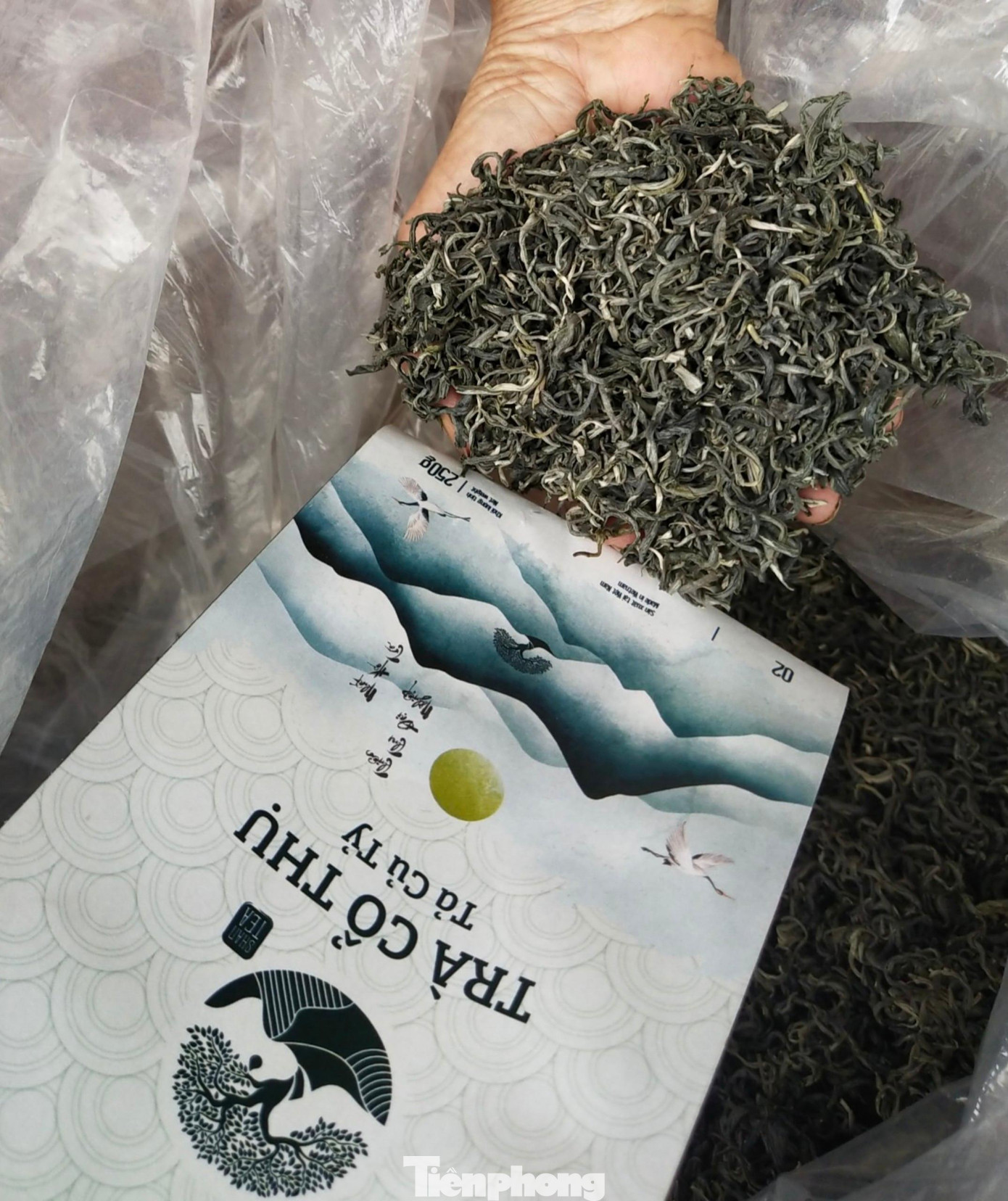 Với sự hỗ trợ quảng bá sản phẩm, phát triển thị trường của Tỉnh Đoàn Lào Cai, cùng với chất lượng, hương vị đặc trưng của mình, trà shan tuyết Tả Củ Tỷ đang chinh phục thị trường trong nước.