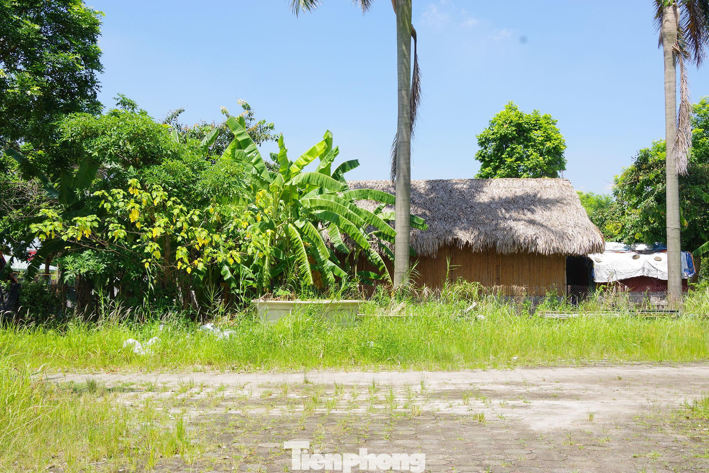 Thậm chí dựng cả nhà tạm trong công viên