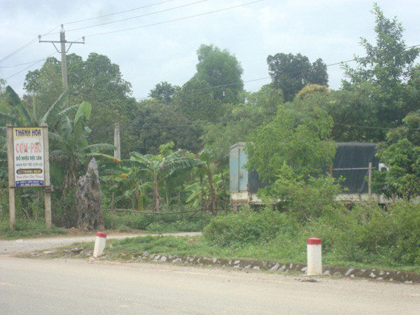 Nhiều nhà hàng nằm dọc đường Hồ Chí Minh đoạn qua Phong Nha đều treo biển có đặc sản rừng