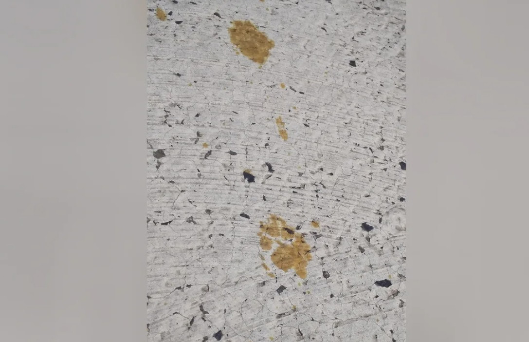 Dấu chân mèo được phát hiện gần thùng hóa chất. (Ảnh: Getty)