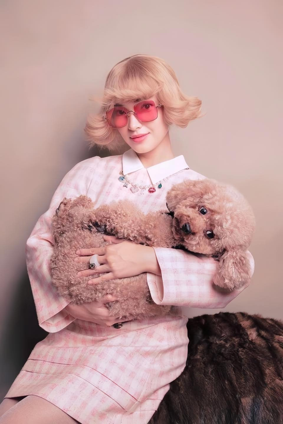 Chú chó poodle tên Bí là cún cưng mà Châu Bùi đã nuôi suốt 7 năm. Chú chó poodle tên Bí là cún cưng mà Châu Bùi đã nuôi suốt 7 năm.