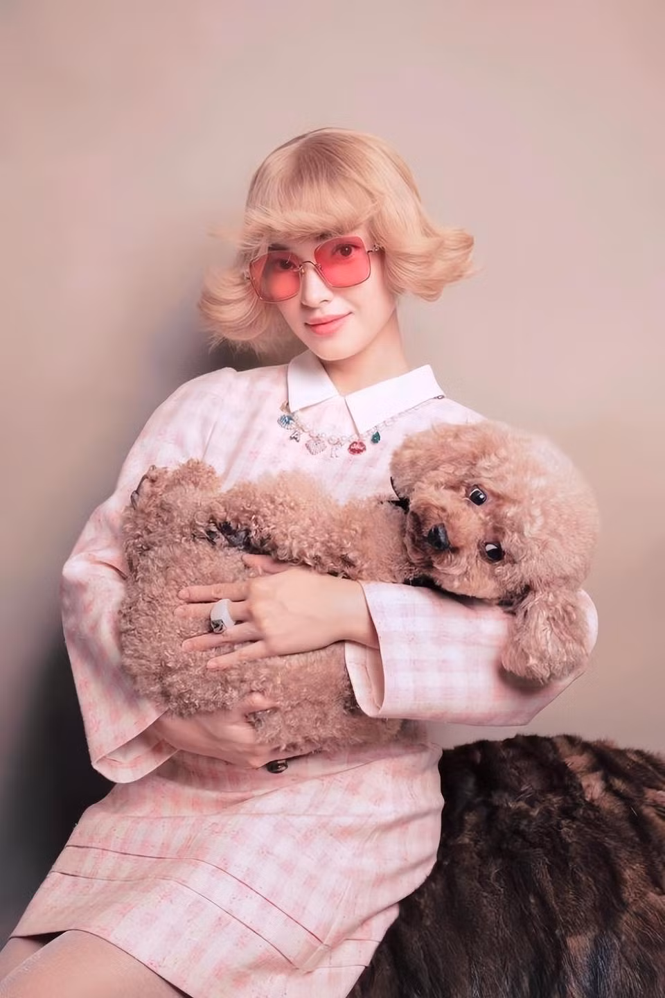 Chú chó poodle tên Bí là cún cưng mà Châu Bùi đã nuôi suốt 7 năm.