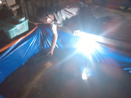 Cá hải tượng được ông Lý Hem nuôi ở nhà