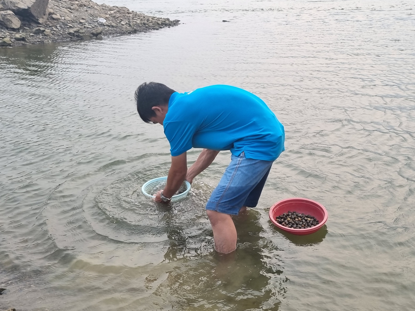 Bắt ốc dưới hồ Bắt ốc dưới hồ