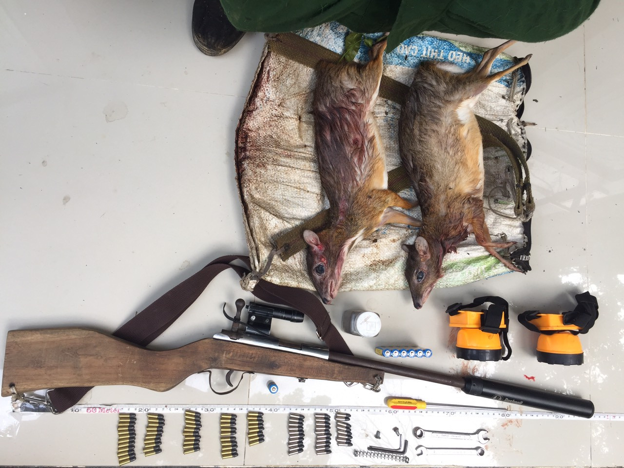 Thú rừng bị săn bắn và súng của 2 đối tượng