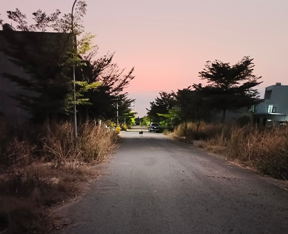 Nhiều dấu hiệu sai phạm tại dự án Khu dân cư và tái định cư Phước Tân đang được điều tra