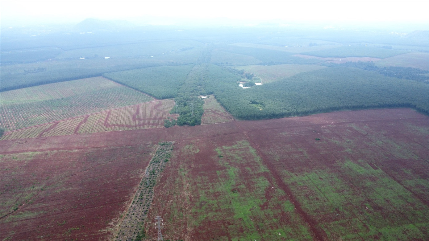 Khu đất cụm công nghiệp Long Giao (thi trấn Long Giao) có diện tích 56ha nằm trong kế hoạch đấu giá