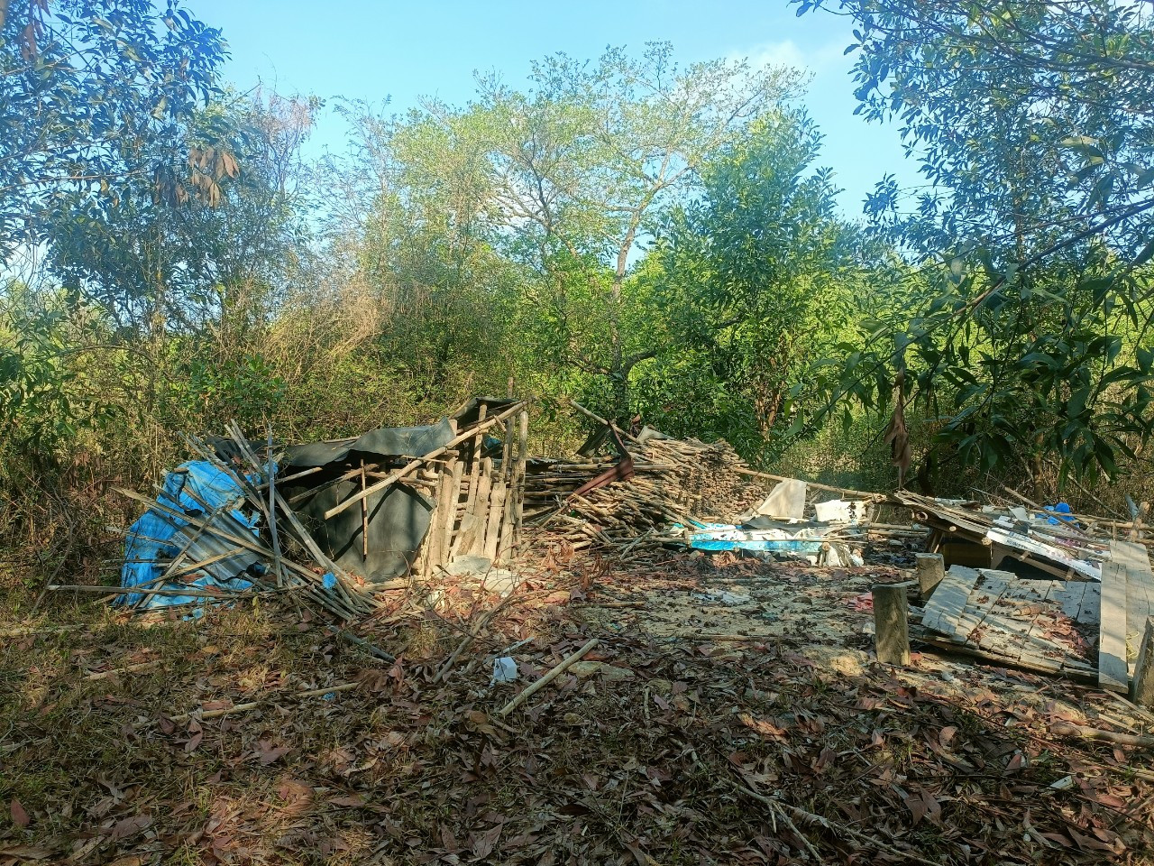 Căn chòi bị voi giật sập