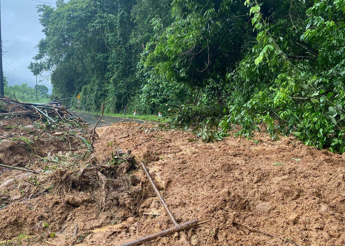 Đất đá cùng cây cối tràn xuống mặt đường Đất đá cùng cây cối tràn xuống mặt đường