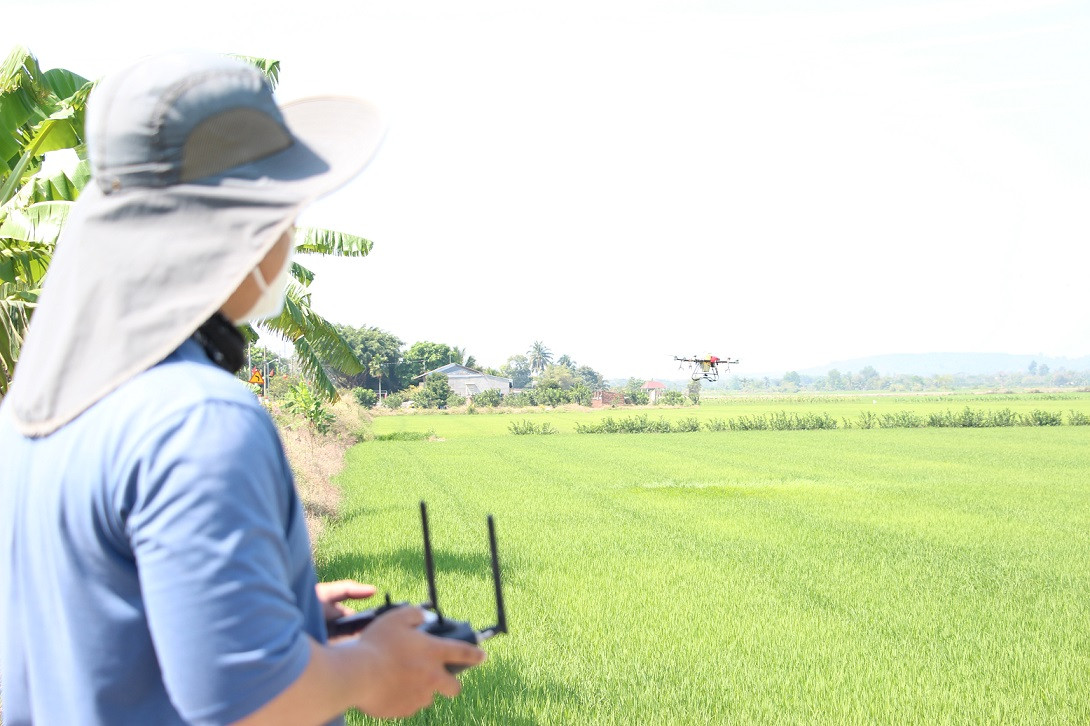 Điều khiển máy bay phun thuốc trên cánh đồng Bàu Kiên