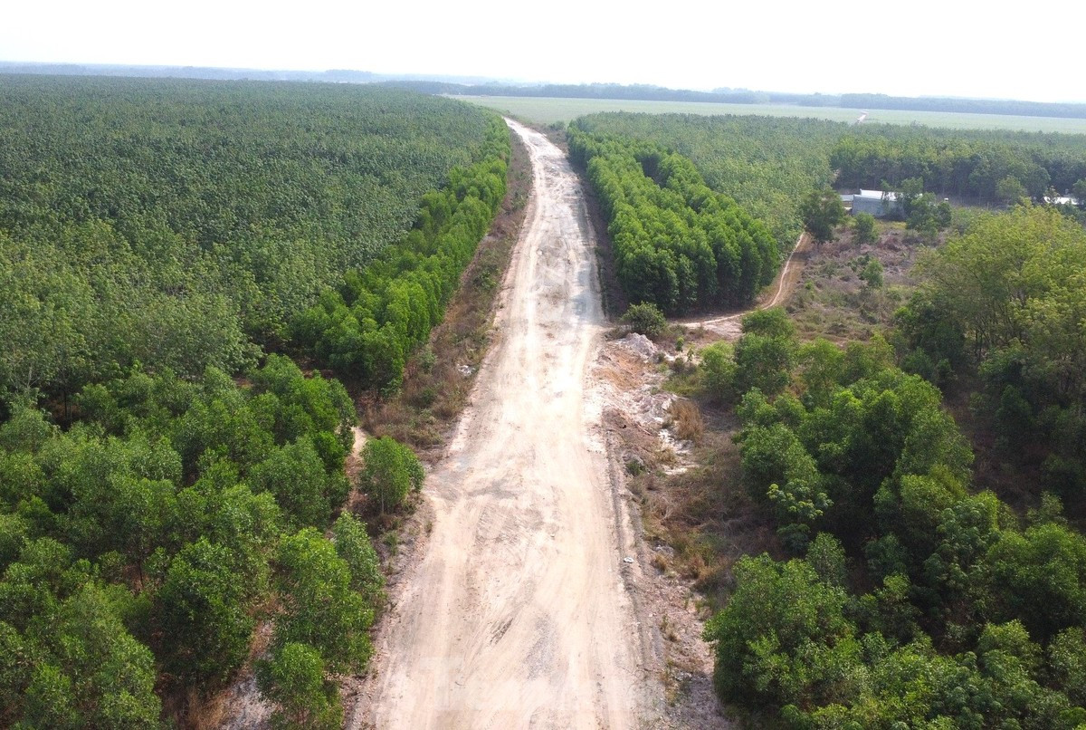Đường Hồ Chí Minh đoạn qua huyện Bàu Bàng (Bình Dương)