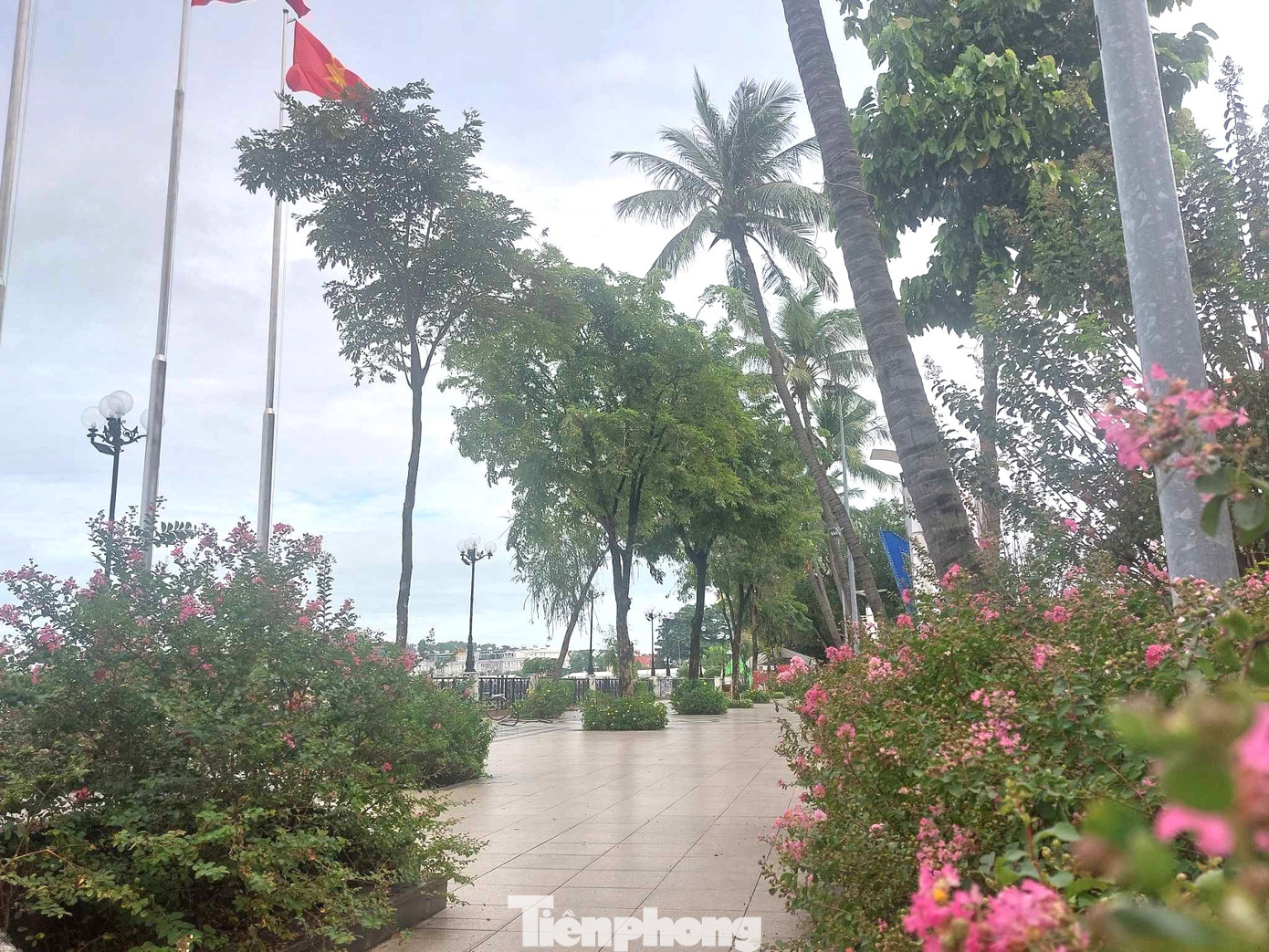 Việc tuyến phố đi bộ Bạch Đằng có thêm công trình hoa dầu biểu tượng Thủ Dầu Một sẽ thu hút người dân, du khách hơn. Công trình hứa hẹn là điểm tham quan, “check in” thú vị cho người dân, du khách khi đến TP Thủ Dầu Một dịp lễ Quốc khánh 2/9 sắp tới.