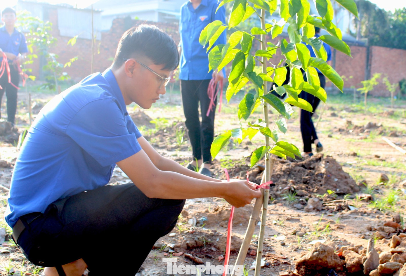 Đoàn viên, thanh niên trồng cây tại công trình.