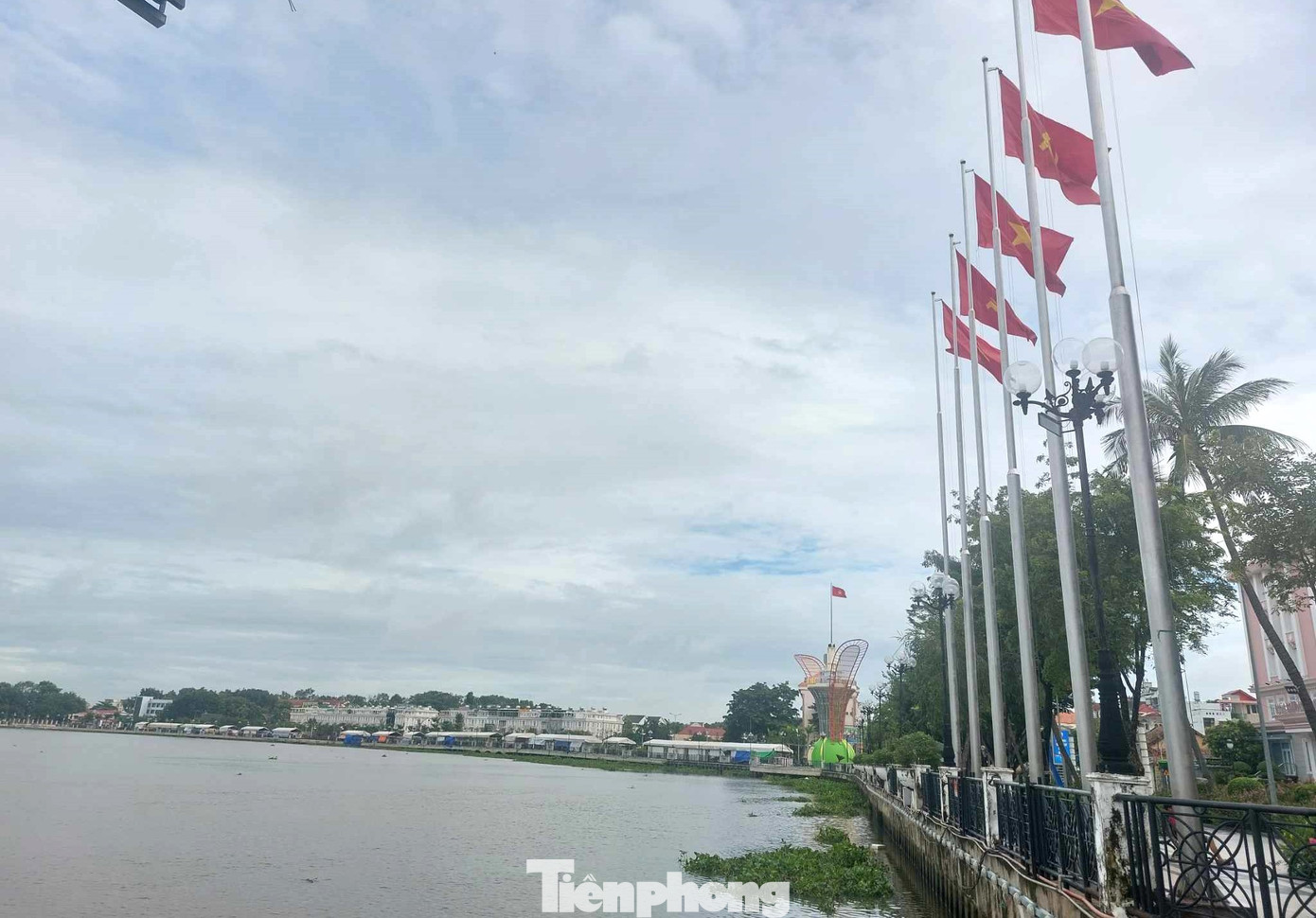 Công trình hoa dầu này được xây dựng tại phố đi bộ đường Bạch Đằng nối dài ven sông Sài Gòn có chiều dài gần 1km đã được đầu tư xây dựng trước đó khoảng 650 tỷ đồng.