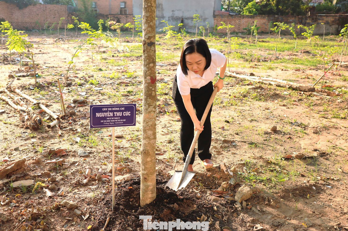 Chủ tịch UBND thành phố Thủ Dầu Một - bà Nguyễn Thu Cúc trồng cây tại công trình.