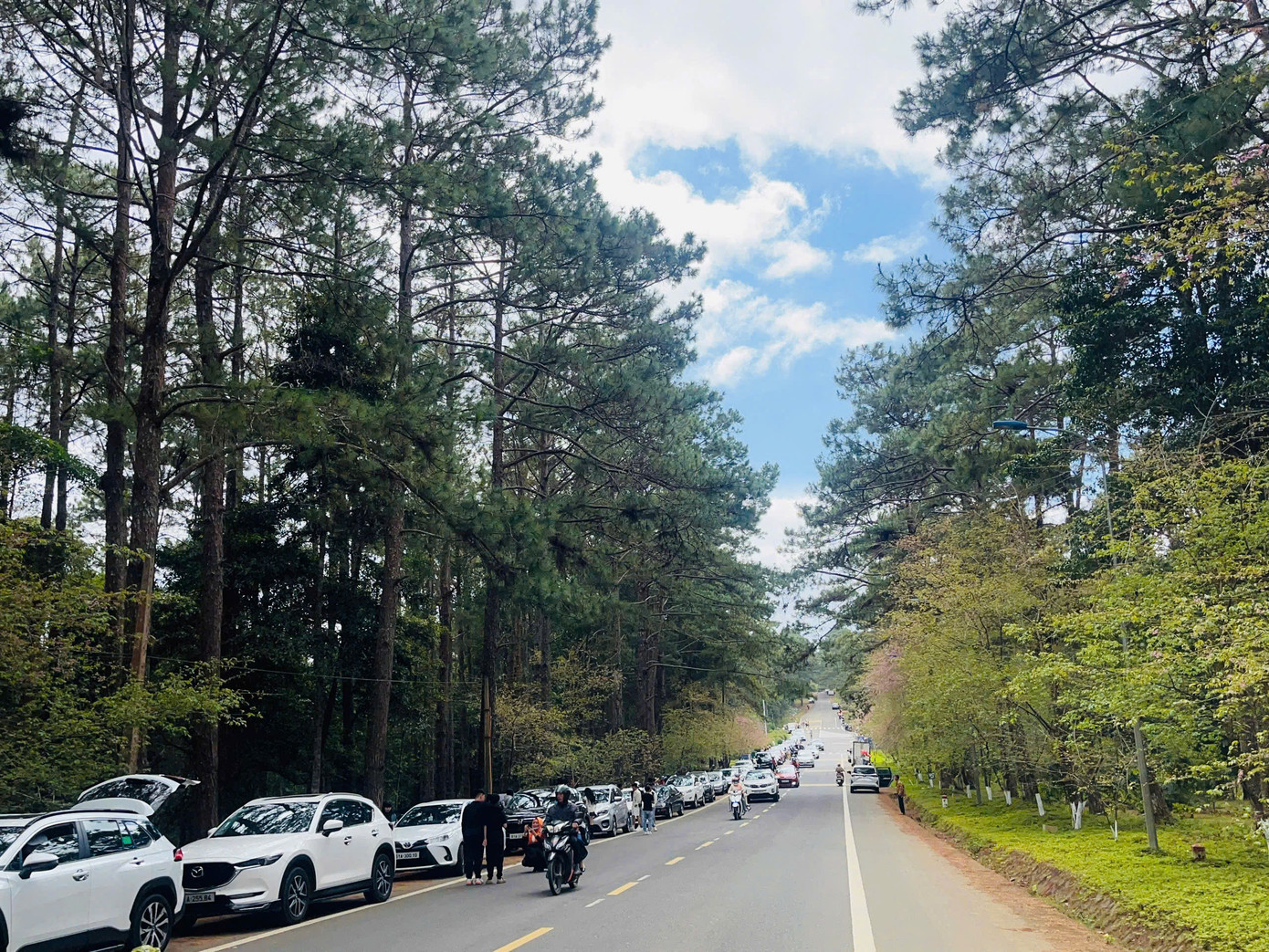 Nhiều cơ sở lưu trú đã kín phòng. Nhiều cơ sở lưu trú đã kín phòng.