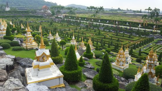 Khách Việt đổ về thiên đường xanh Nong Nooch vì sao? ảnh 1