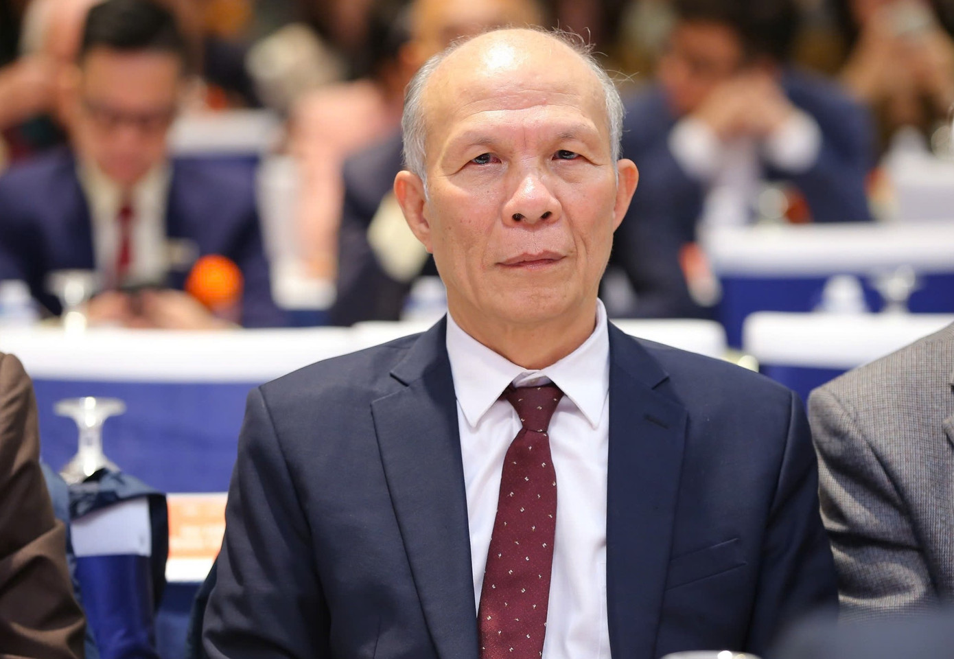 PGS, TS. Đinh Trọng Thịnh.