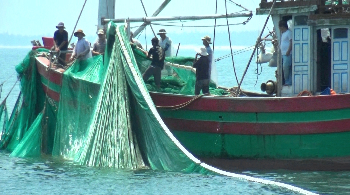 Do đánh bắt ở vùng nước nông nên lưới của ngư dân đã bị các đại chiến tàu giã cào cuốn phá rách lưới. Do đánh bắt ở vùng nước nông nên lưới của ngư dân đã bị các đại chiến tàu giã cào cuốn phá rách lưới.