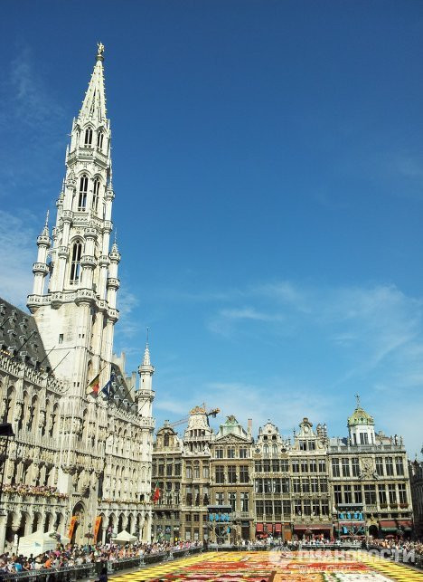 Lễ hội hoa này là nét văn hóa của nước Bỉ 