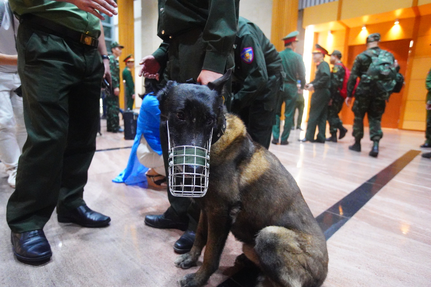 Chó nghiệp vụ của lực lượng góp nhiều công trong việc tìm kiếm cứu nạn tại Myanmar lần này và trở về cùng chuyến bay với các chiến sĩ.