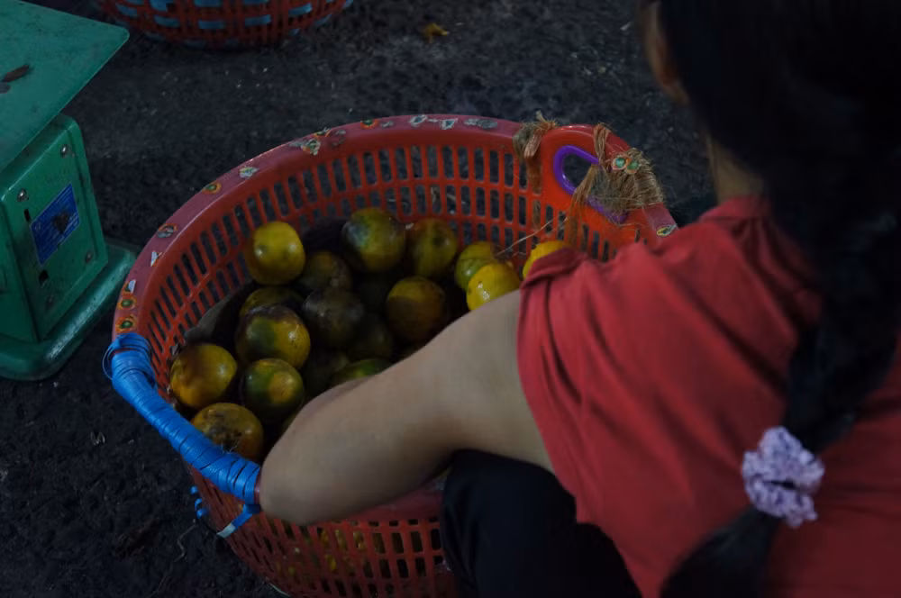 Hoa quả dập thối được lượm dưới lối đi