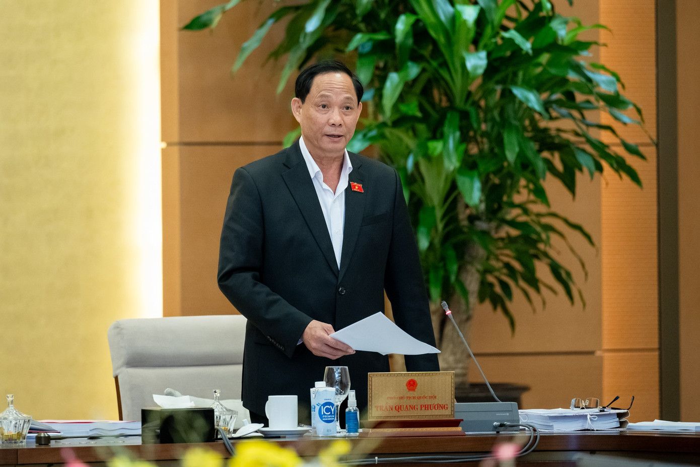 Phó Chủ tịch Quốc hội Trần Quang Phương.