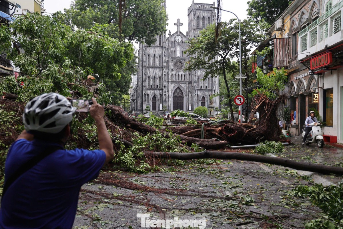 Những góc phố quen thuộc của Hà Nội sẽ thiếu đi nhiều bóng dáng cây xanh. Ảnh: Trọng Tài