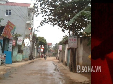 Những biển hiệu được treo dọc con đường vào "đại bản doanh" khu tắm khoáng nóng thuộc thôn 5, xã Thuần Mỹ, Ba Vì, Hà Nội. Những biển hiệu được treo dọc con đường vào