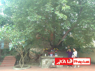 Gò đất nơi diễn ra đám cưới “người âm”