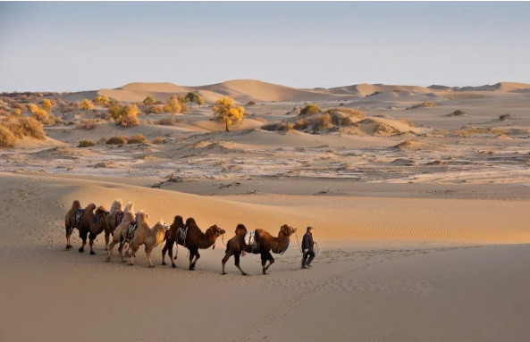 Trung Quốc mang hạt lên vũ trụ nhân giống ảnh 1