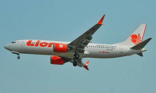 Indonesia xác nhận không ai sống sót trong vụ tai nạn máy bay ảnh 10