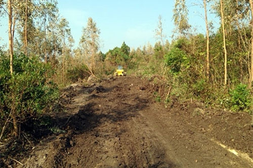 Con đường lầy lội này sẽ được thi công thành đường cấp phối nhựa, chịu được sức nặng của xe kéo pháo