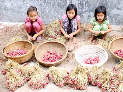 Trẻ em đảo Bé ảnh: T.Trung