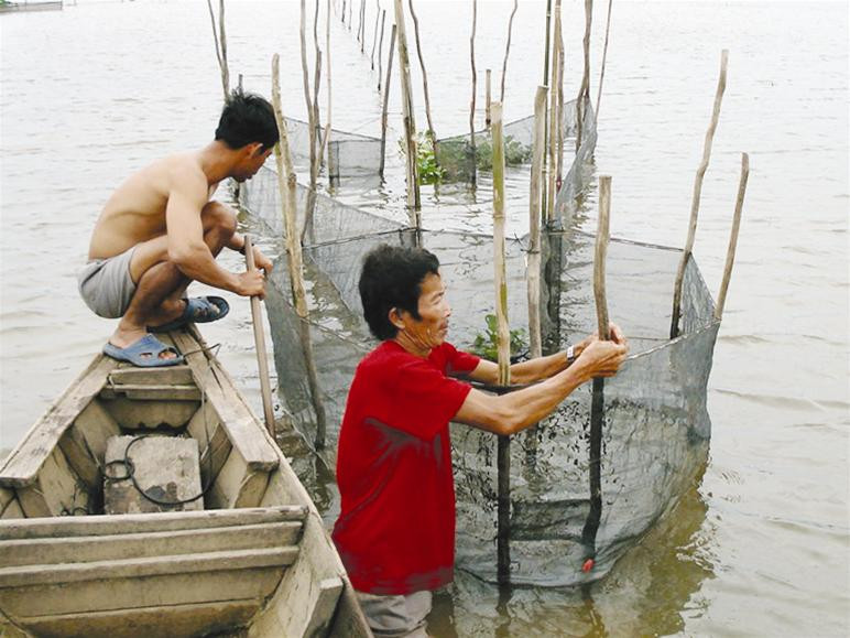 Đặt dớn bắt cá